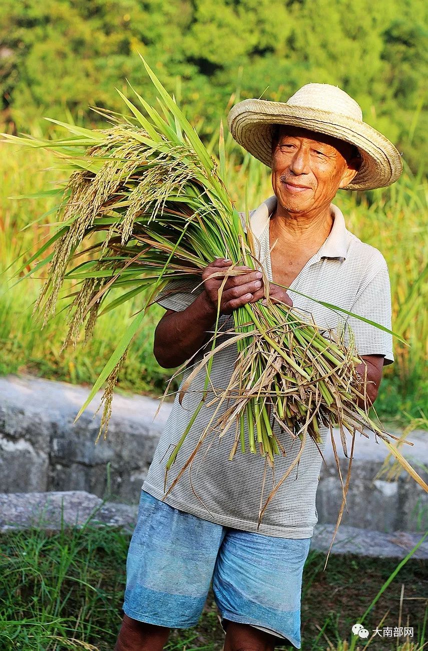 是农村的奉献,是农业的奉献,是农民的奉献!