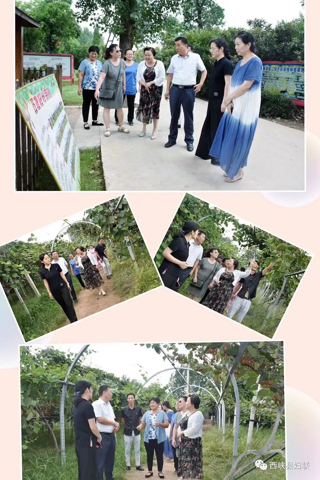 河南省妇联发展部副部长刘清杰调研西峡县妇联城乡工作