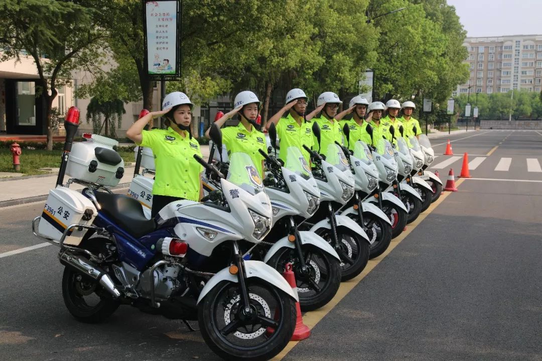桐乡交警铁骑队训练正火热带你先探秘一波