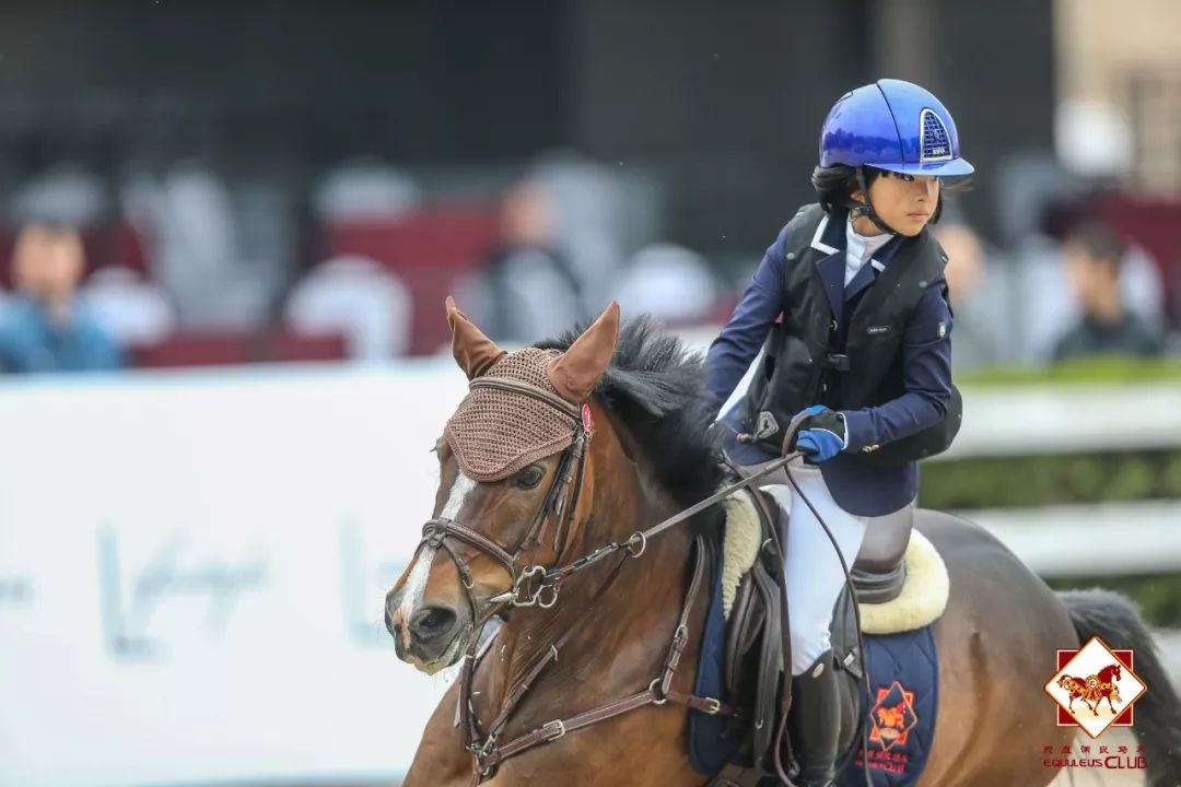 直播预告丨超级马术俱乐部联赛第六站明日启动