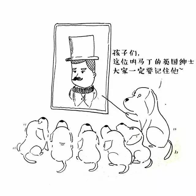 在中国请尊重并善待流浪动物救助者他们承受了太多本不应该他们承受的