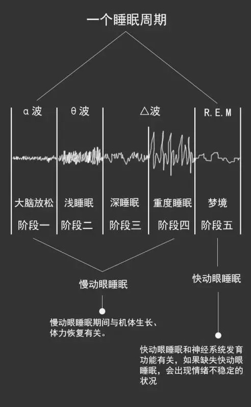 达芬奇睡眠法猝死案例图片