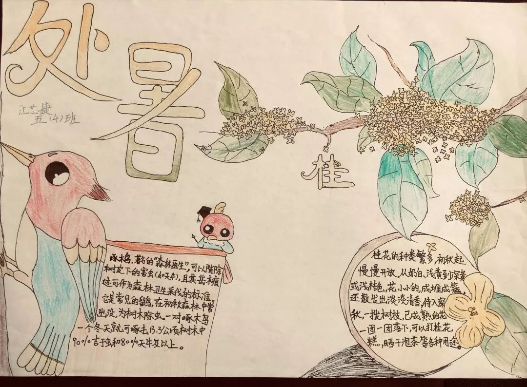 二十四节气处暑处暑不是暑凉秋知我意