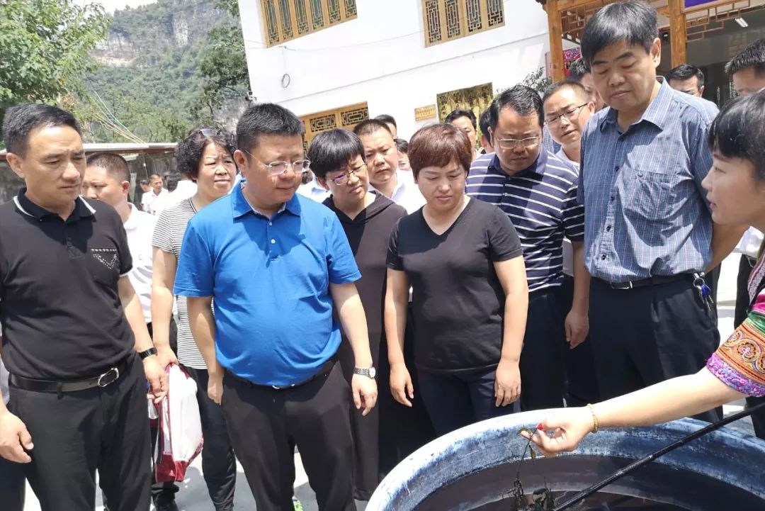 县委书记佘龙率队到织金县考察时强调以夏秋决战为契