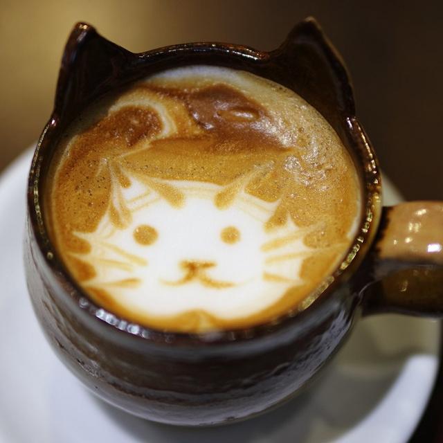 岛国这家猫咖的里的咖啡和甜品都好可爱猫咪最可爱