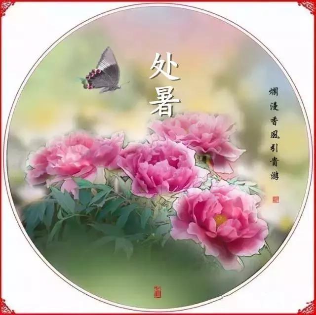 处暑到,好运到,祝福悄悄来报到,早安