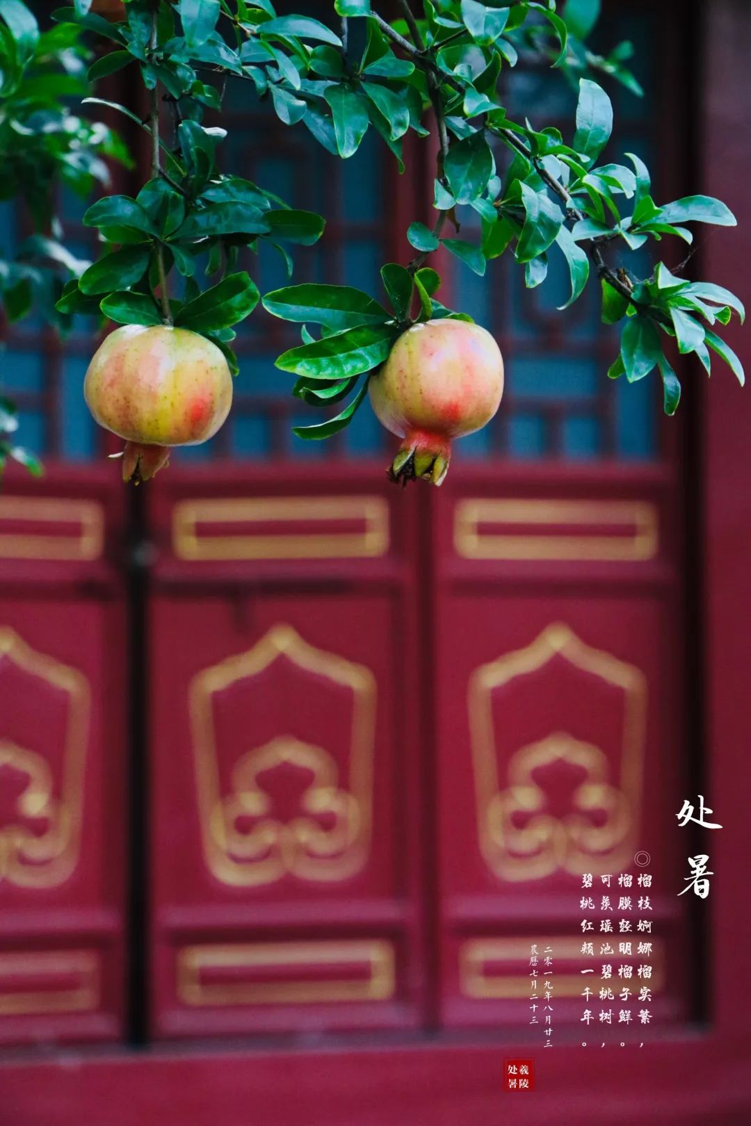 二十四节气丨处暑