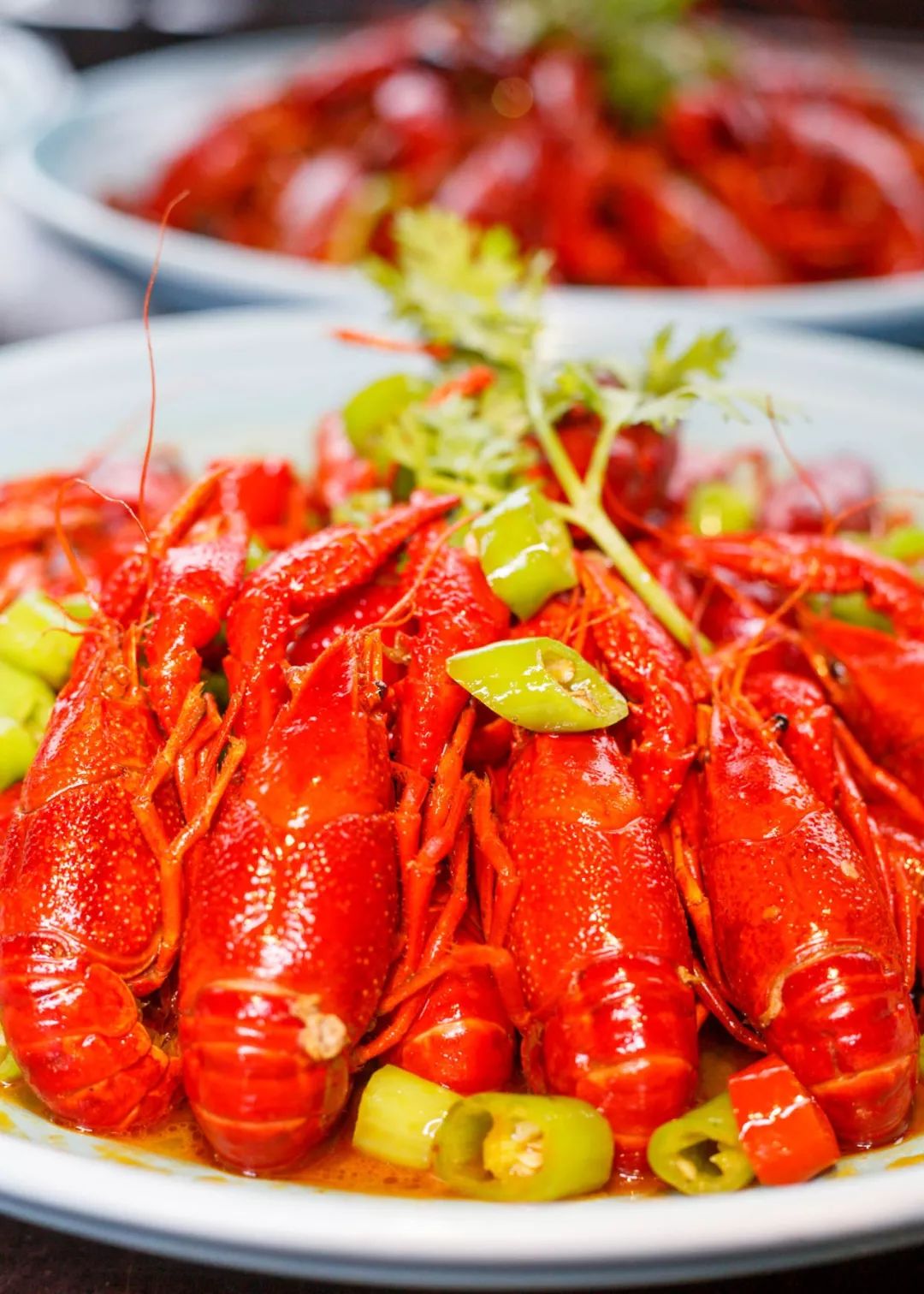 东北「海鲜烧烤」来啦!6.8折狂吃2小时都不想走!_龙虾