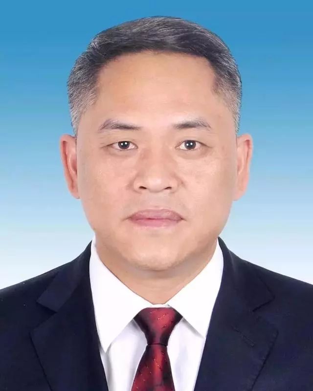 经研究,该同志拟任镇康县委副书记,提名为镇康县人民政府县长候选人.