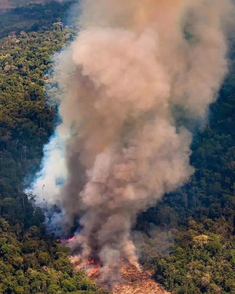 亚马逊雨林持续燃烧21天,无人问津,全球网友怒斥巴西总统不作为!