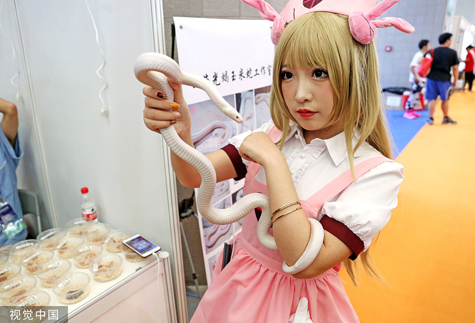 亚洲宠物展美女舞白蛇吸睛 另类网红动物身价不菲