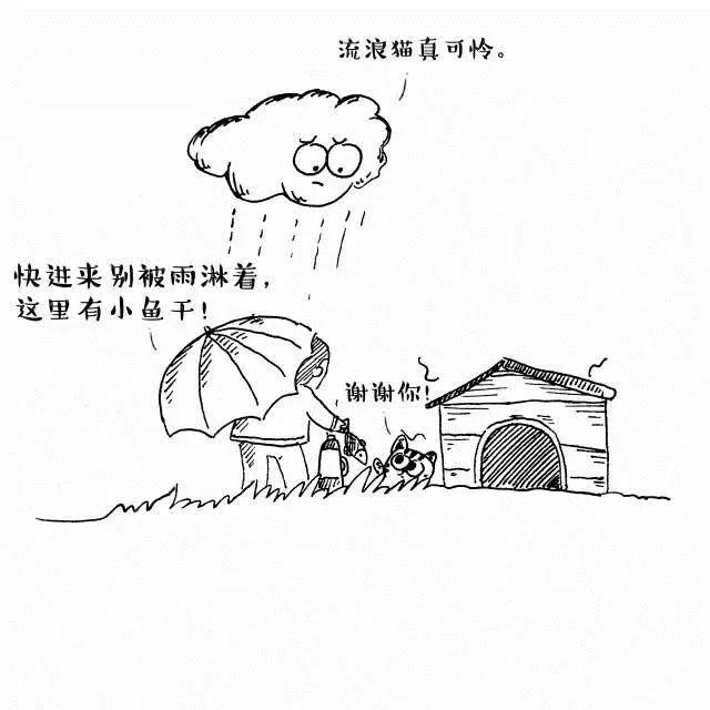 在中国请尊重并善待流浪动物救助者他们承受了太多本不应该他们承受的
