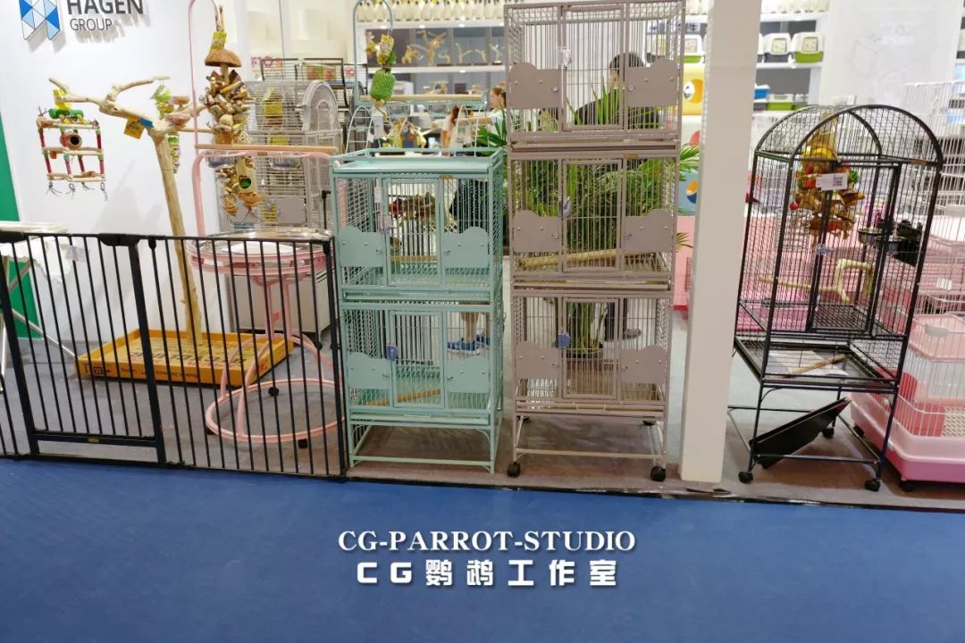 cg鹦鹉工作室2019上海亚宠展的第二天