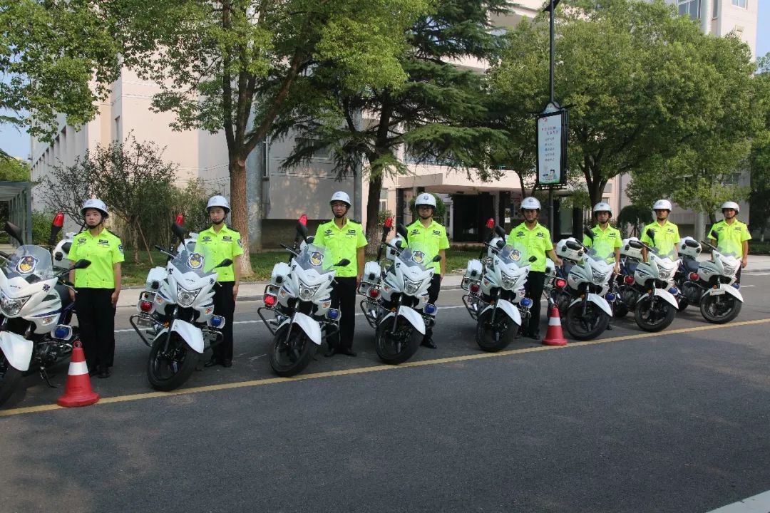 桐乡交警铁骑队训练正火热带你先探秘一波
