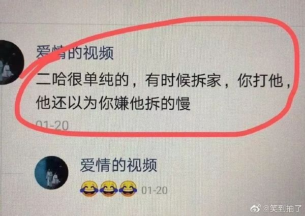 到底什么家庭条件，才可以让狗子实现拆家自由？