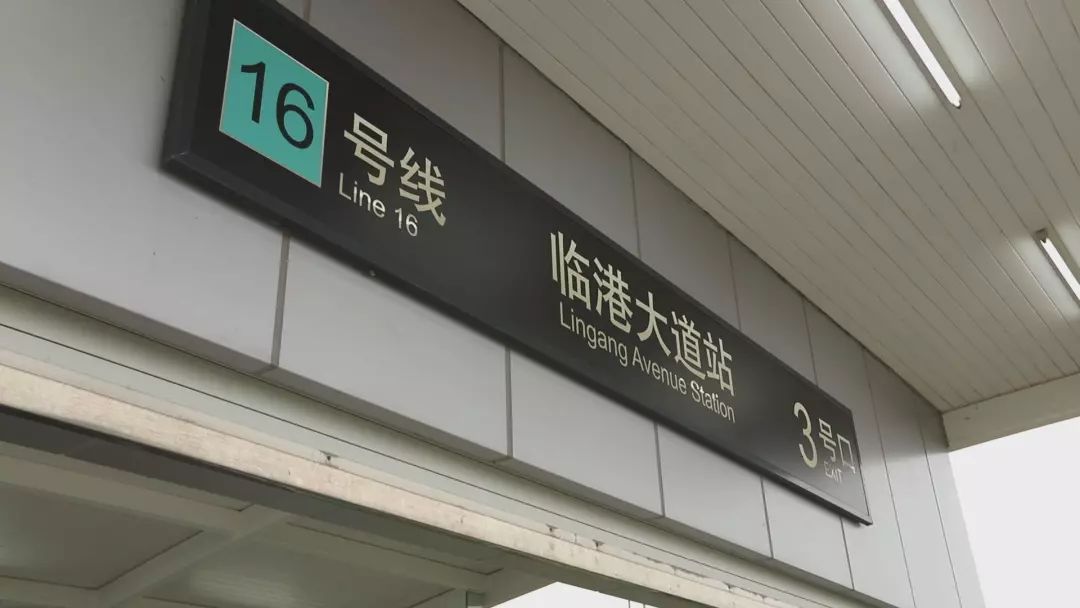 自贸区临港新片区发现一座特别之城