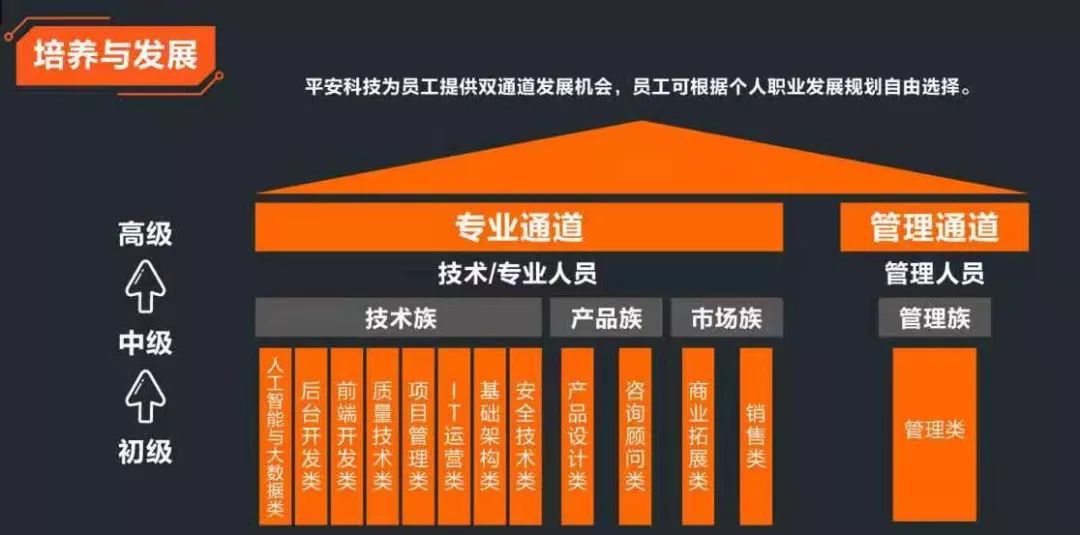 世界top29的高科技內核平安科技2020校招正式開啟六大類崗位全開參與