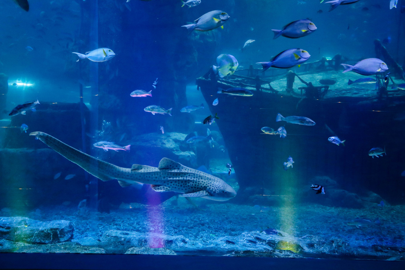 牵你小手看大世界,在西宁童梦乐园,坐着时光机回到童年