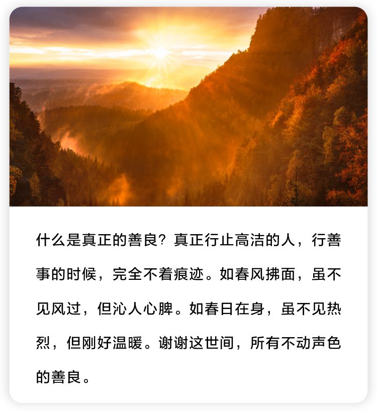 谢谢这世间所有不动声色的善良