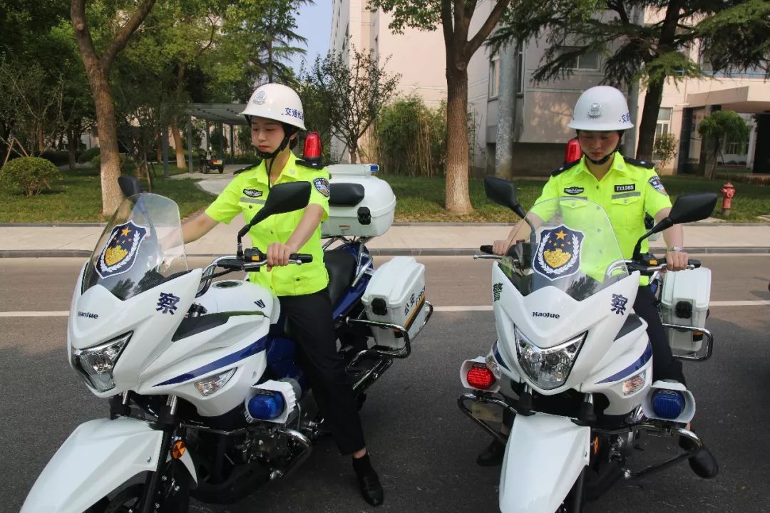 桐乡交警铁骑队训练正火热带你先探秘一波