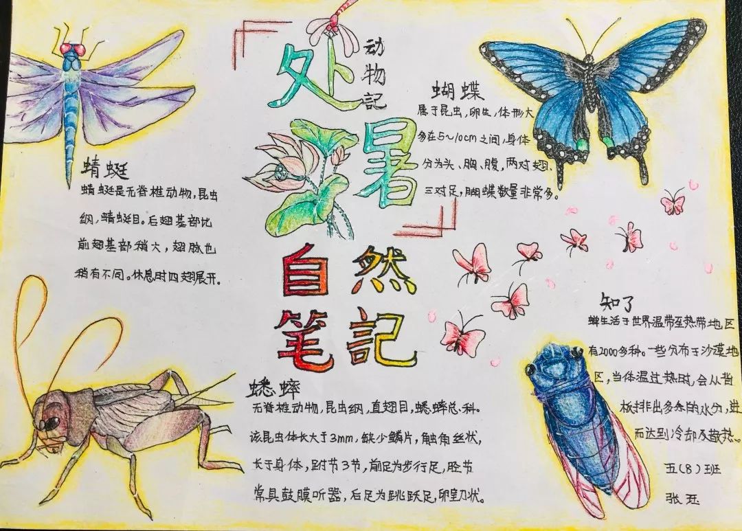 二十四节气处暑处暑不是暑凉秋知我意