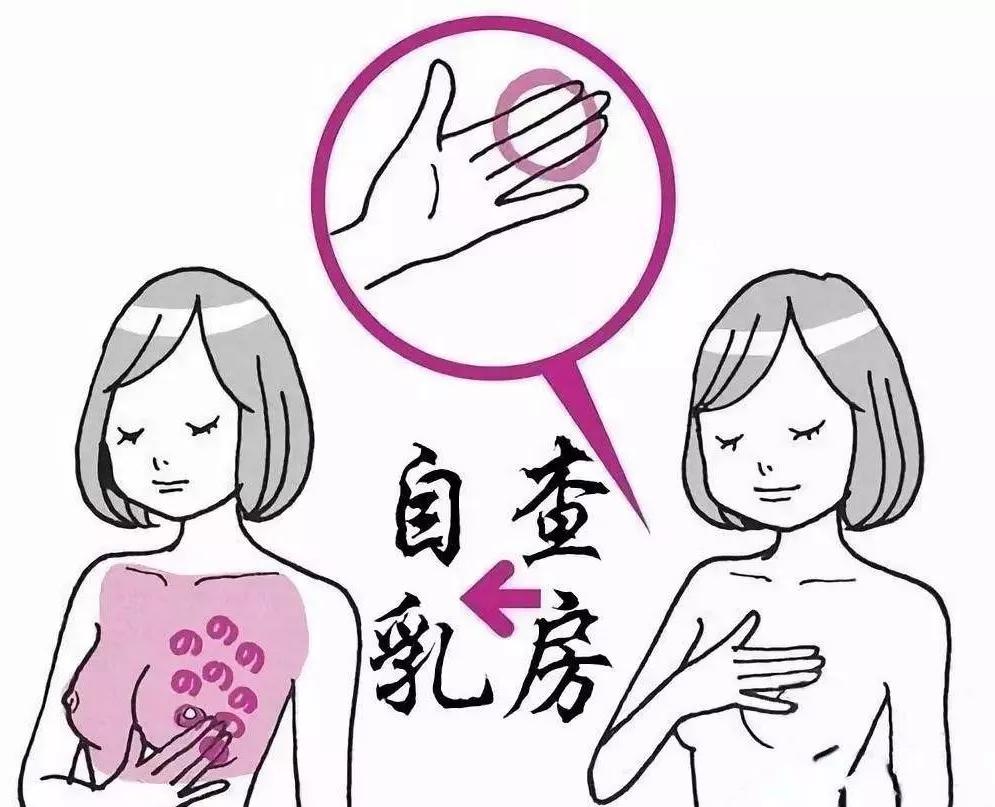 乳房位置表浅