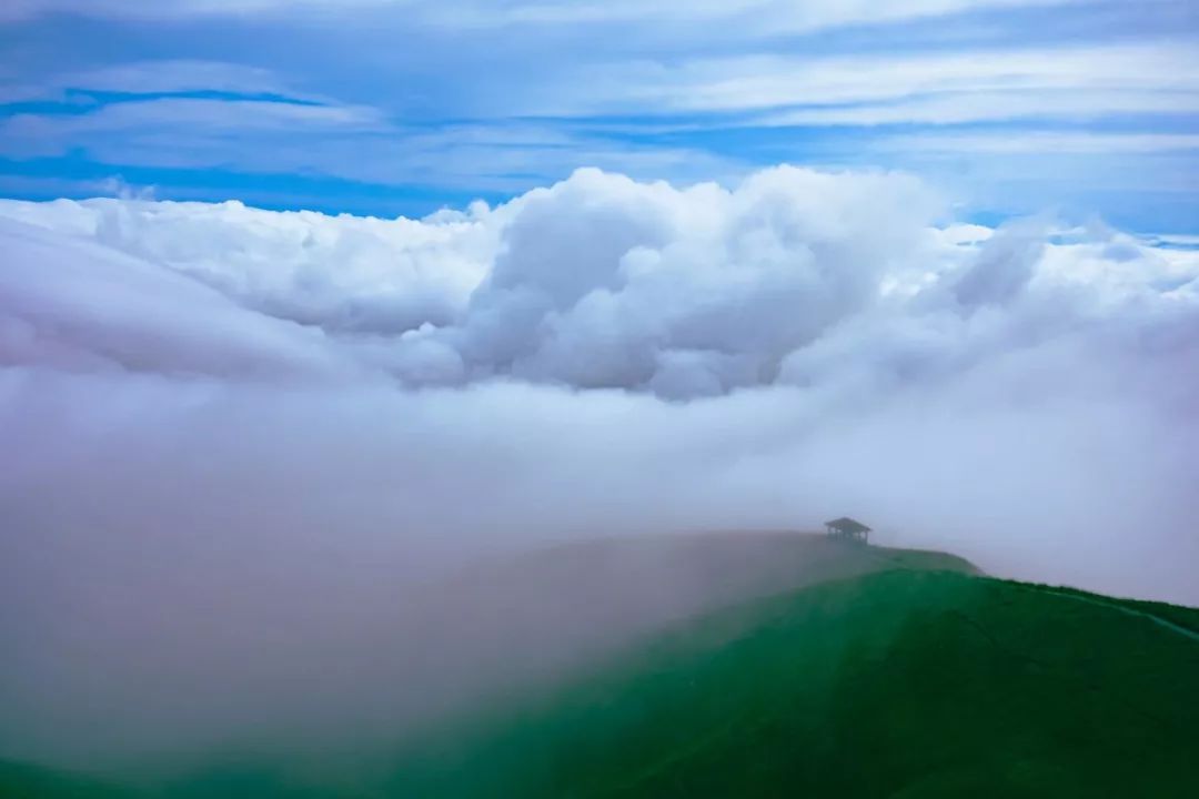 武功山 雲端上的行走| 賞高山草甸 日出日落 雲海星空350元/人