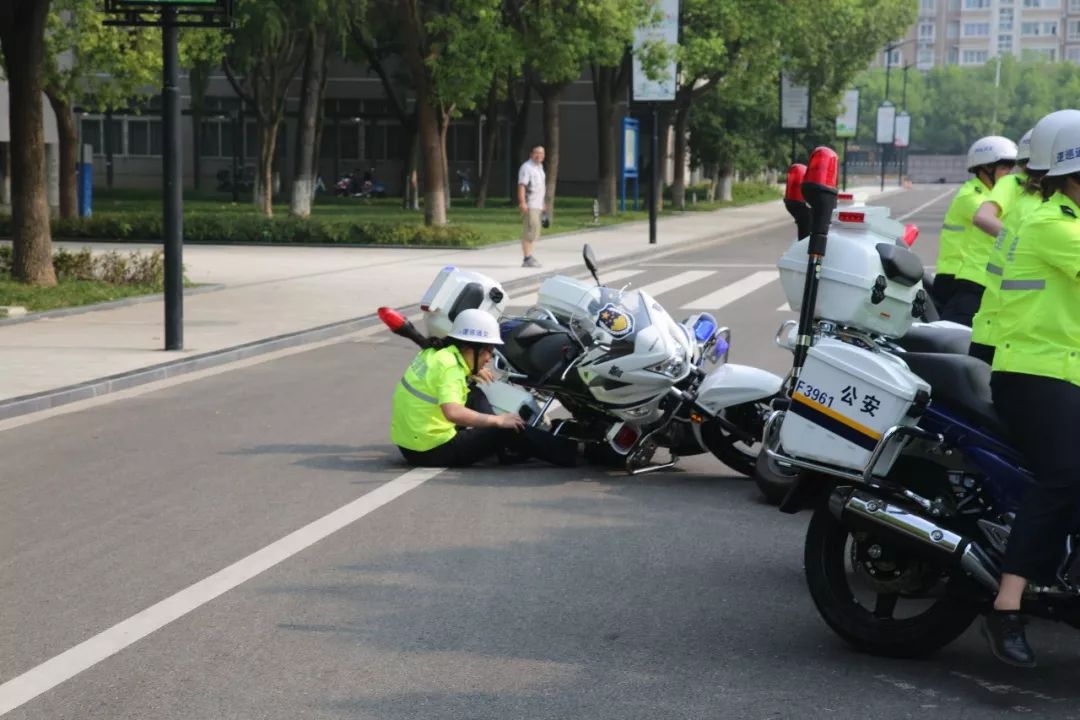 桐乡交警铁骑队训练正火热带你先探秘一波