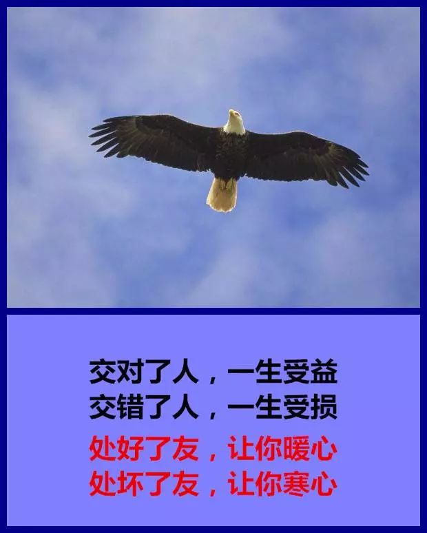 交对了人,一生受益;交错了人,一生受损男人有男人的难,女人有女人的酸