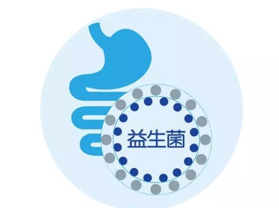 益生菌除了能促进肠道消化健康,还可以对生殖系统有好处,尤其对女性来