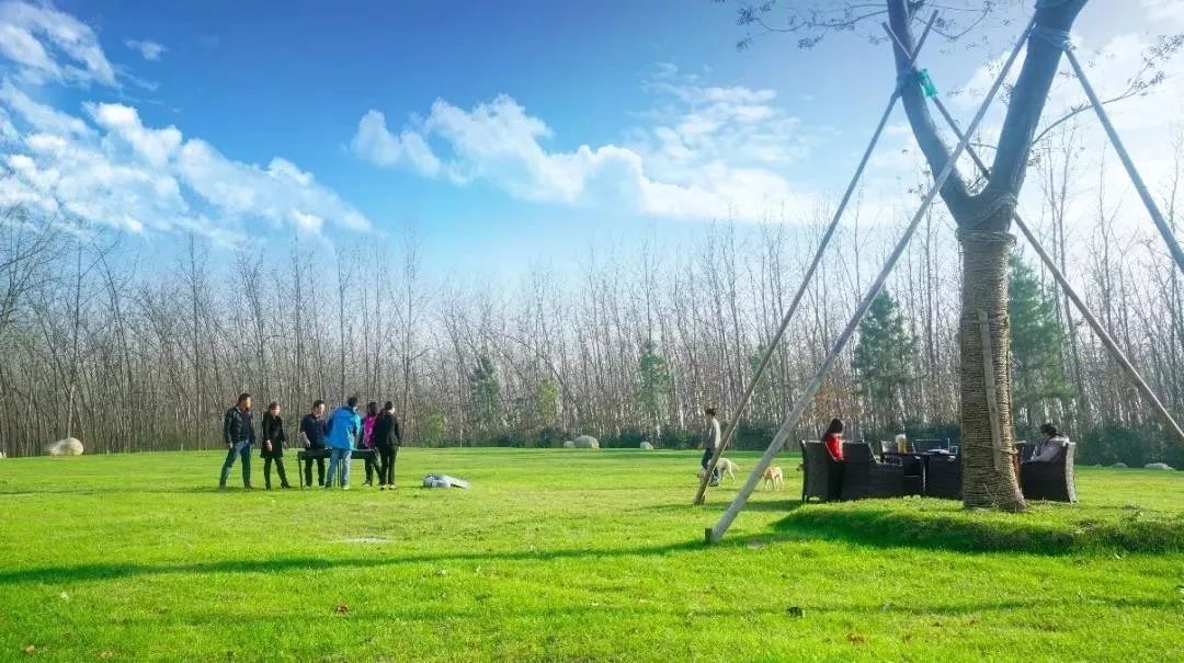 研学基地如何打造看看这些落地案例