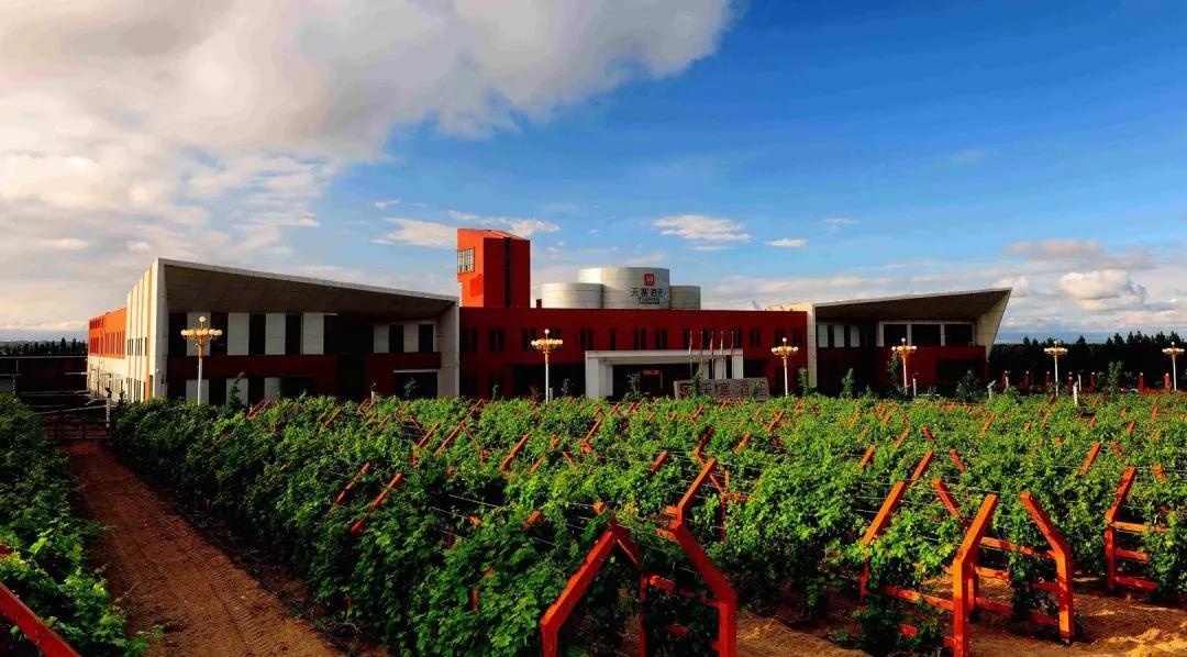 新疆五大葡萄酒庄,居然有三个就藏在天山脚下,你却不知道?