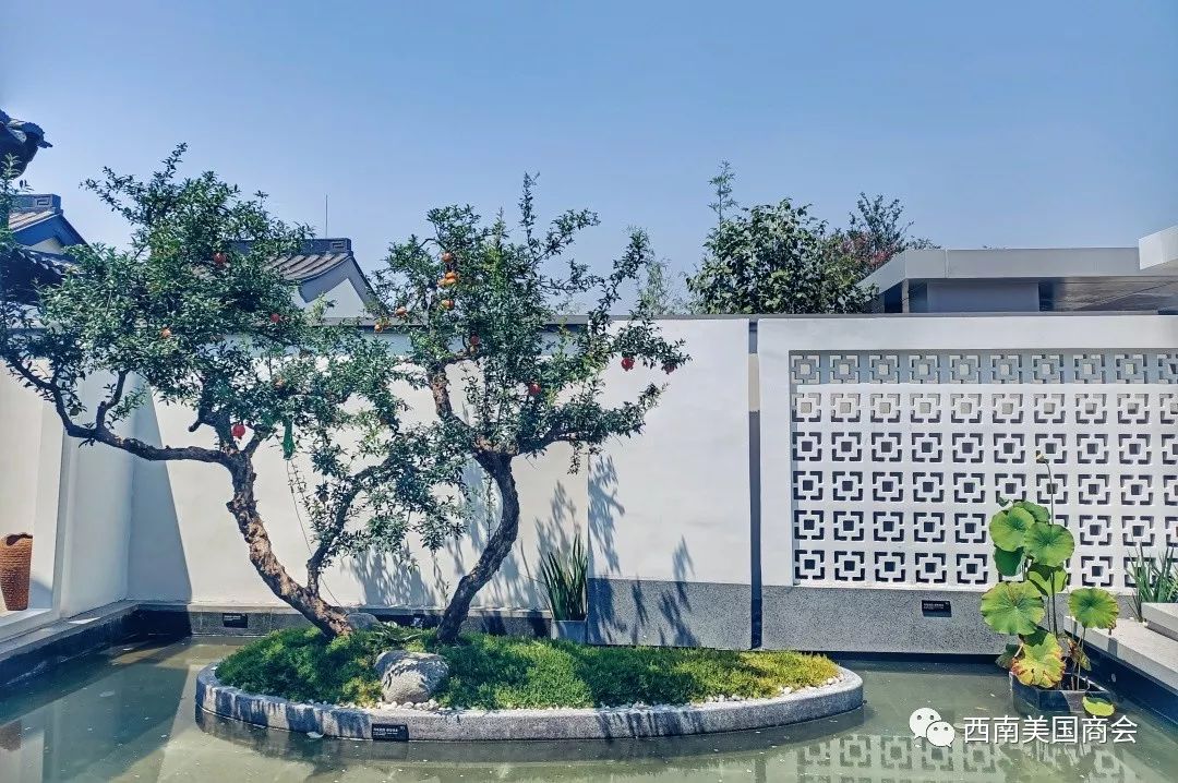 活动回顾西南美国商会夏季outing成都院坝定制周末之旅