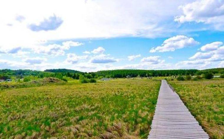 去离北京最近的草原牛羊湖泊森林看草长莺飞风轻云淡