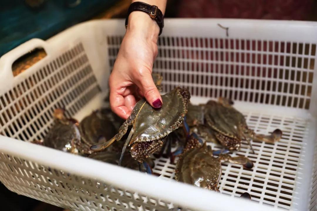 10000斤活蟹即将到丽都连续7天宁波白蟹节6块8只只爆黄