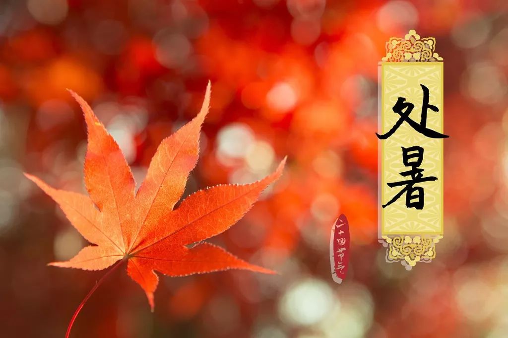 今日处暑北京人有啥讲究