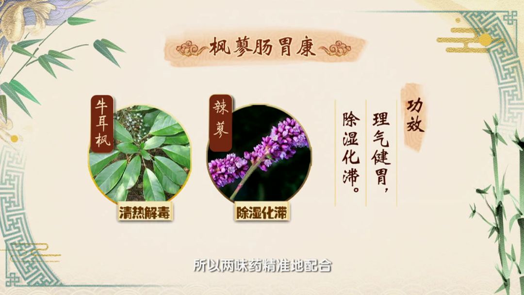 枫蓼肠胃康有颗粒剂,片剂,合剂等,都能够理气健胃,除湿化滞.