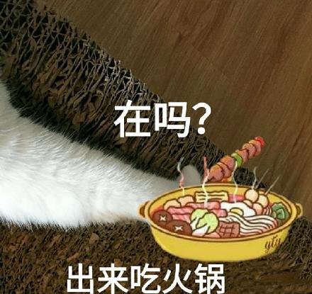 去吃饭的表情包合集按时吃饭按时长肉