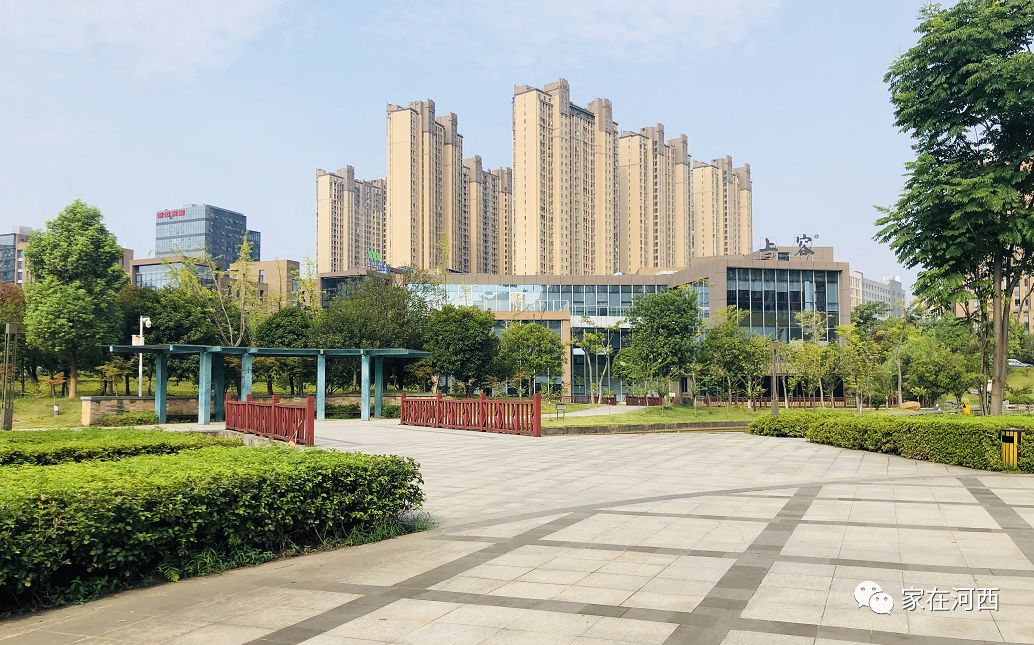 仅仅半年河西这些地方变化很大