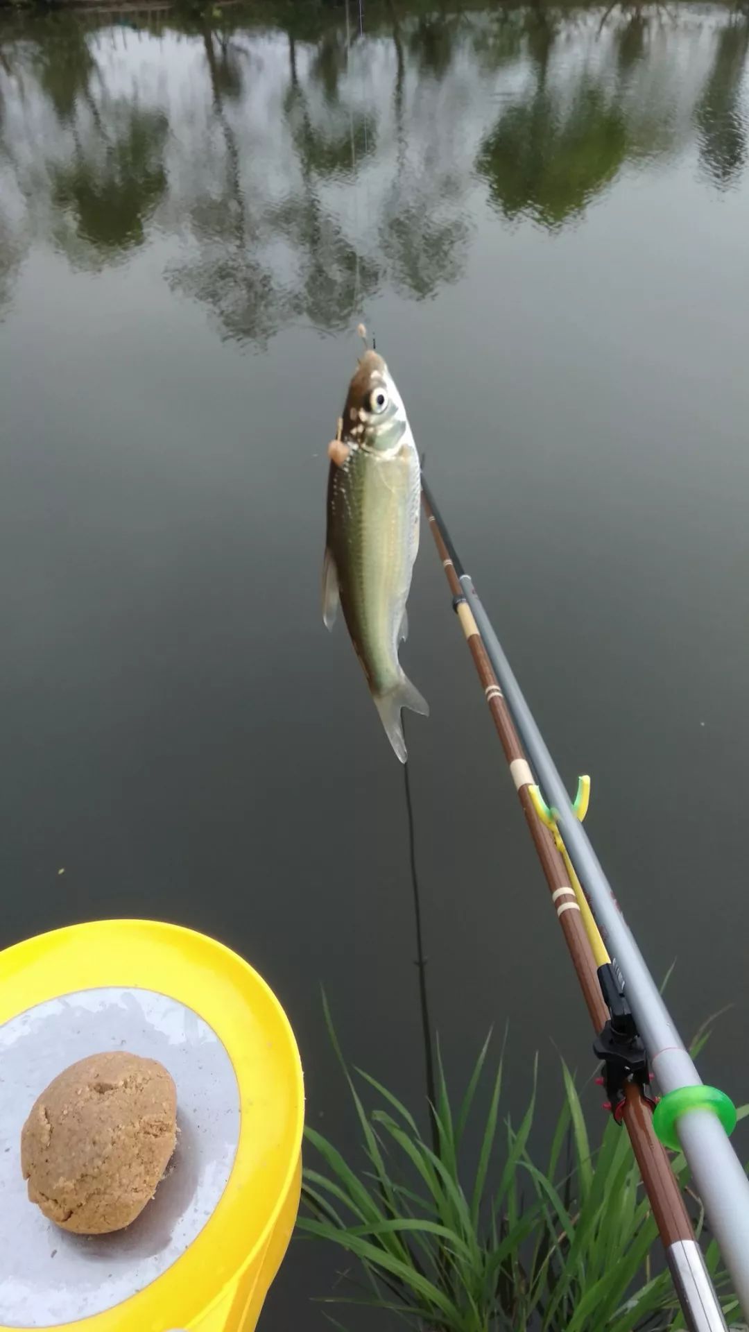 红狼枪戟鱼竿平价好用的休闲野钓大物竿