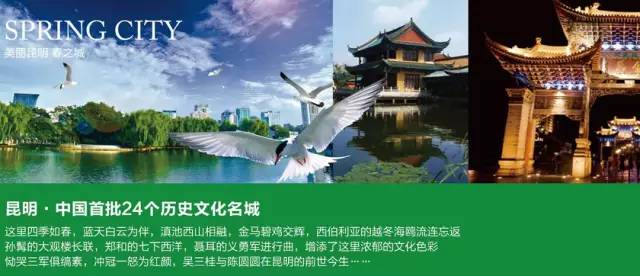 【特价·约惠云南】昆明石林 大理古城/大理花海 丽江古城/玉龙雪山大