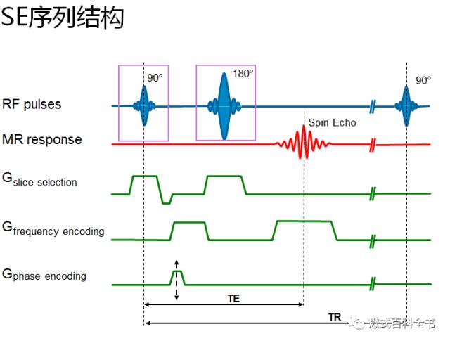 西门子中,dixon技术做腹部的动态增强序列叫"dixon-vibe,这个很好