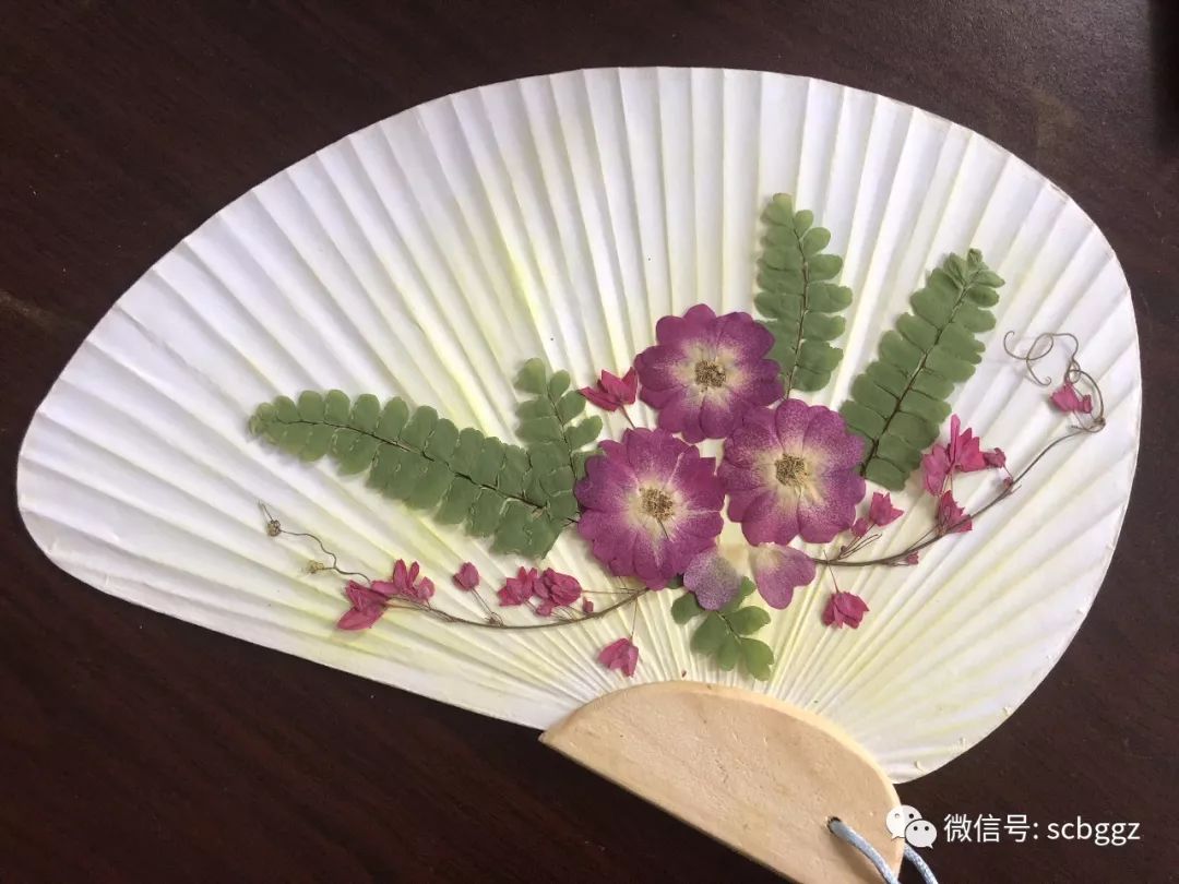 课程招募赏自然玩压花压花扇子课程