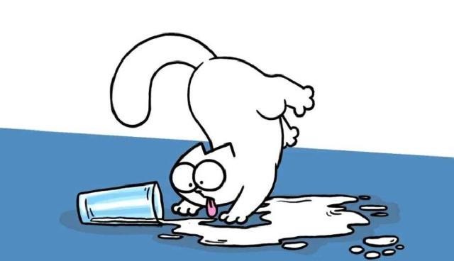 9部关于猫的动画作品，小编为你送上今日份的“吸猫”！_罗小
