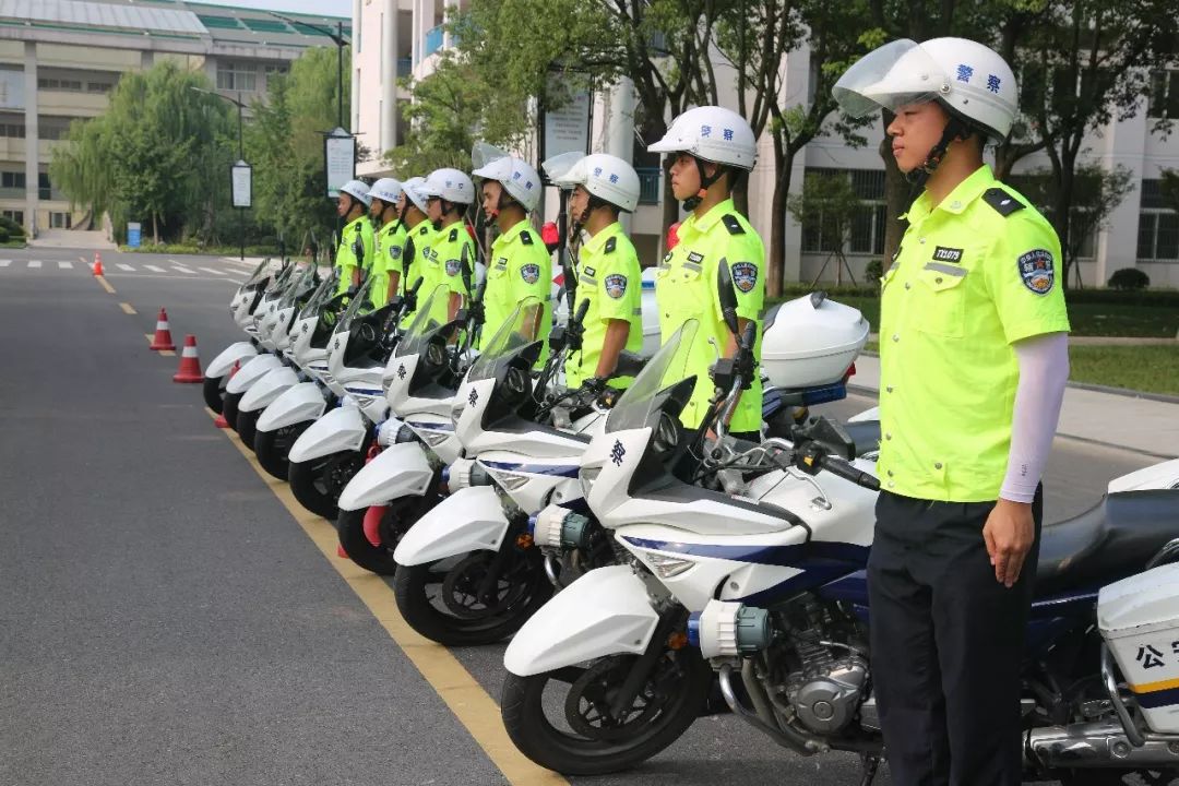 桐乡交警铁骑队训练正火热带你先探秘一波