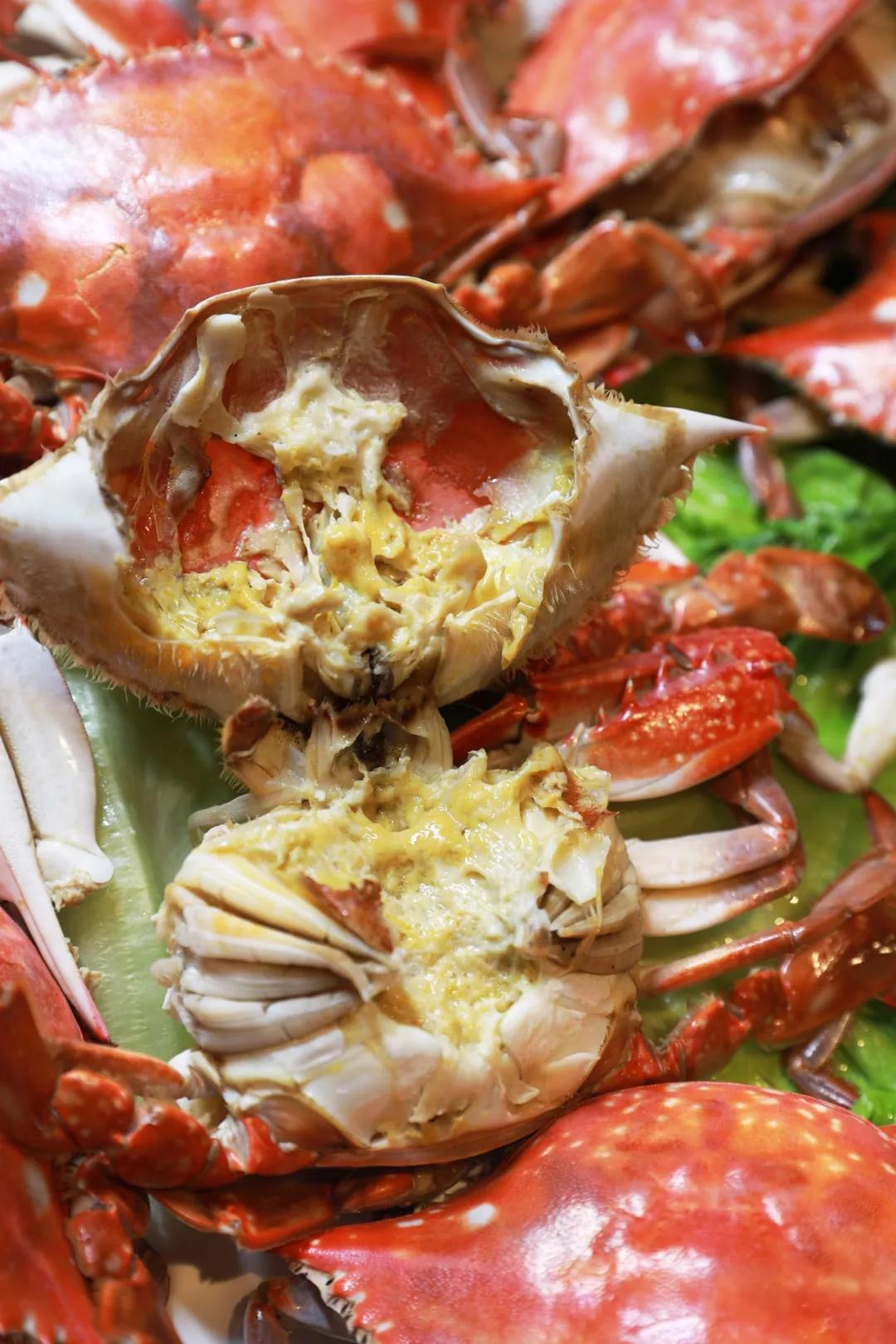 10000斤活蟹即将到丽都连续7天宁波白蟹节6块8只只爆黄