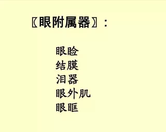 61张经典眼解剖与生理图片(值得收藏)_治疗