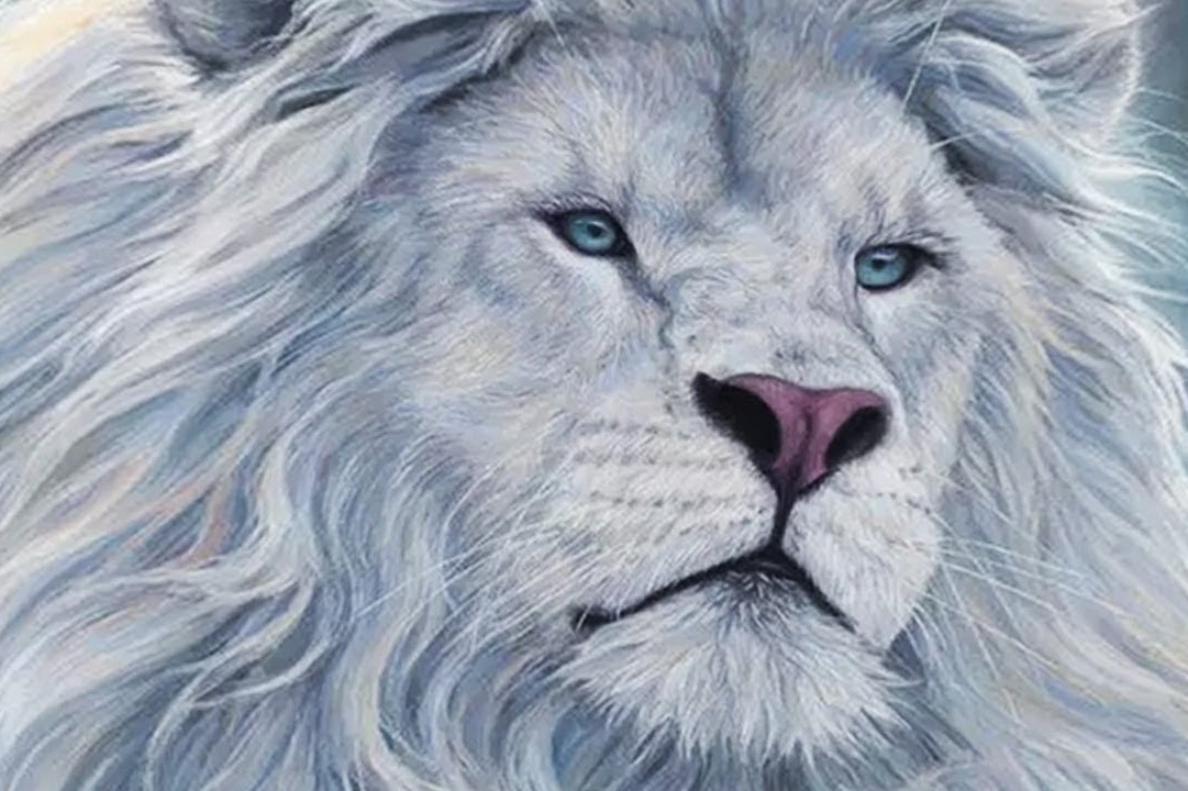 大自然的神奇远不止于此!大开眼界!