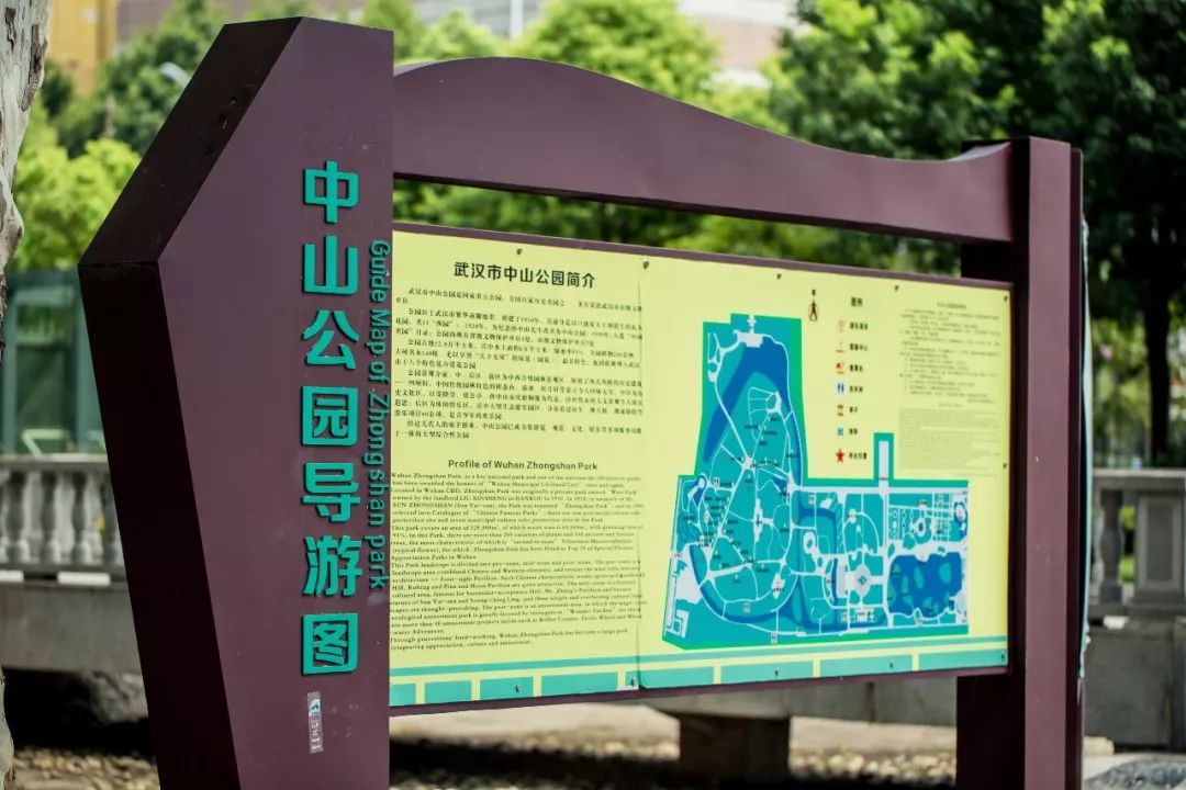 每个武汉人心中都有一座中山公园