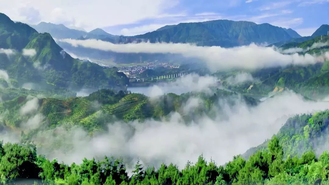 苍南上央视啦中国影像方志苍南篇青花鱼盘拔五更畲族夹缬白矾如珠